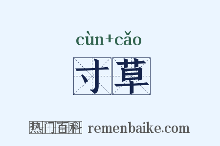 寸草是什么意思的图片